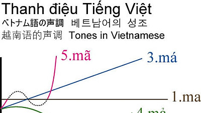어떤 베트남어 번역기 어떤걸 사용해야 될까? 번역기별 성능 비교 해보았어요.